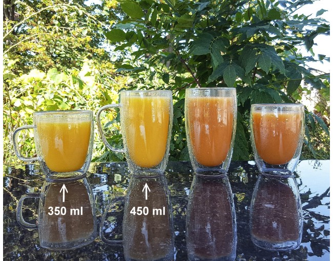 Bicchieri a doppia parete da 450 ml con manico, set da 6