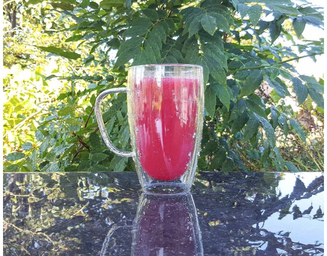 Double-walled glass with handle 450 ml