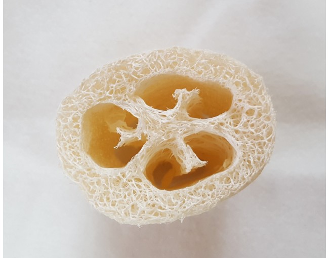 Set di 5 spugne di luffa, 7 cm
