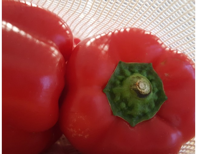 Set di 3 sacchetti in cotone per frutta e verdura