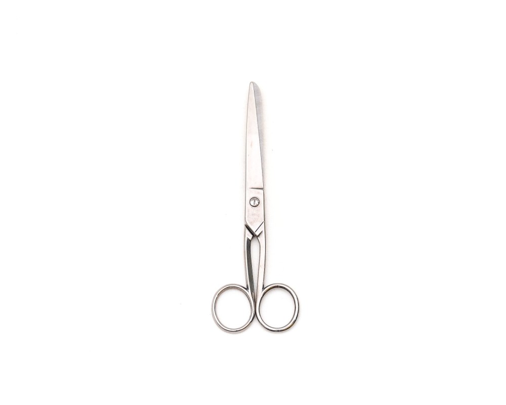 Forbici in acciaio inox 2 dita 20 cm