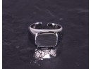 Silberring mit Siegelringdesign